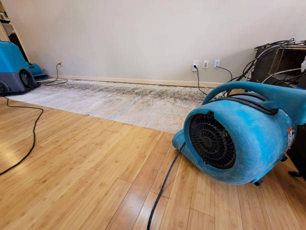Professional Water Extraction technician working in San Martin, CA